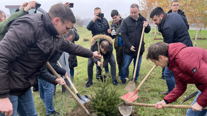 Brnabić učestvovala u akciji pošumljavanja u Obrenovcu