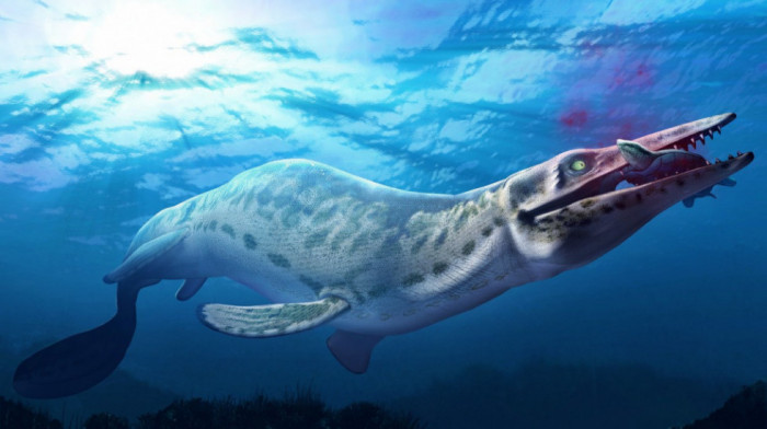 "Plavi zmaj" iz Japana: Pronađeni ostaci drevnog morskog čudovišta koje je iznenadilo naučnike