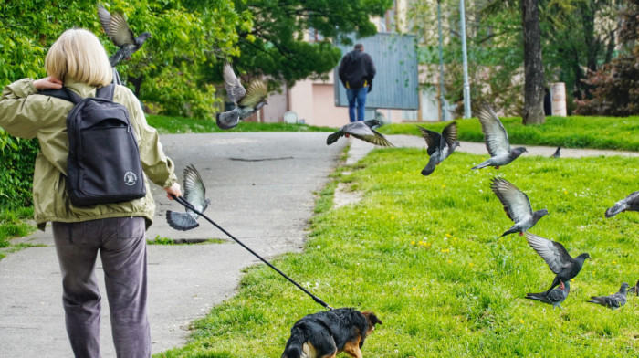 Od 1. januara žene u penziju sa 63 godine i osam meseci i najmanje 15 godina staža