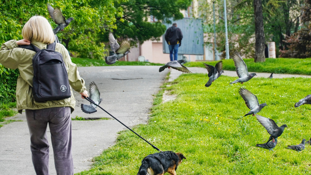 Republički fond PIO: Od 1. januara novi uslovi za odlazak žena u penziju, kod muškaraca za sad po starom