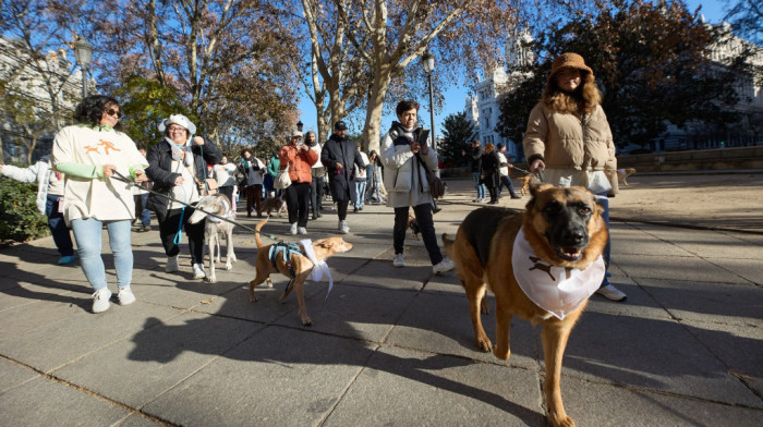 U Madridu održana tradicionalna šetnja pasa u cilju borbe protiv napuštanja