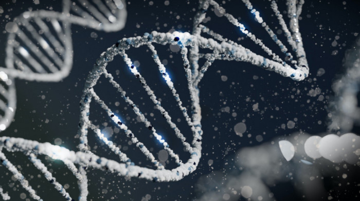 DNK starih Evropljana otkriva iznenađujuće poreklo multiple skleroze