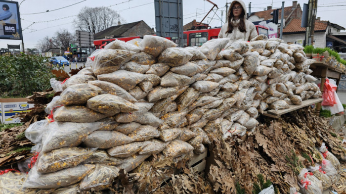 Vlada preporučila poslodavcima da Badnji dan bude neradan