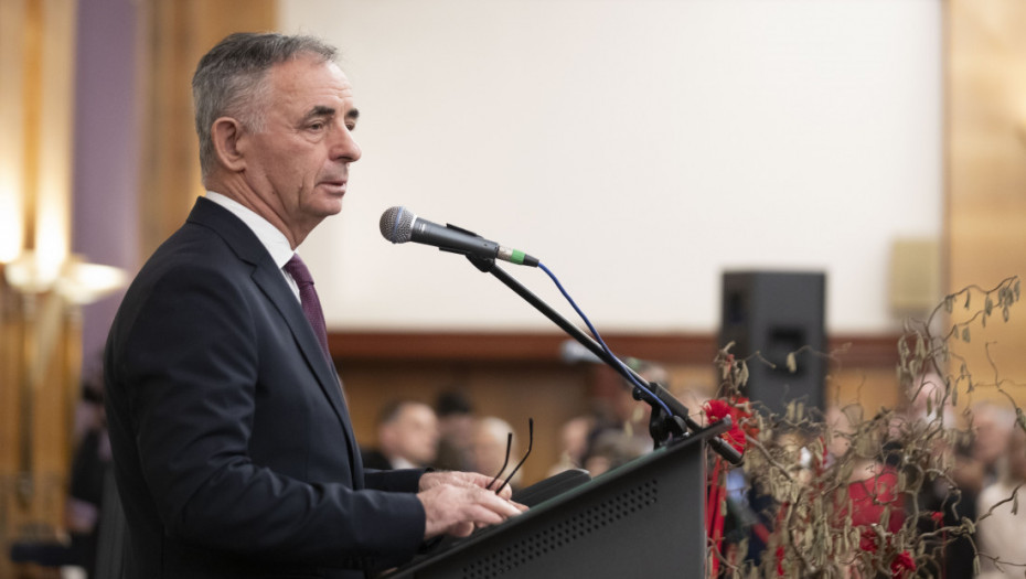 Pupovac: SNV spremno za saradnju sa vladama i Hrvatske i Srbije kako bi se položaj manjina poboljšao