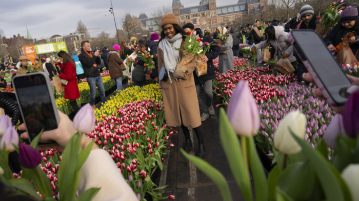 Nacionalni dan lala u Amsterdamu: Podeljeno više od 200.000 cvetova koji simbolišu Holandiju