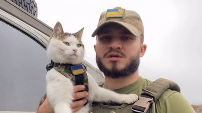 Neočekivani protagonisti rata u Ukrajini: Mačke na prvoj liniji fronta višestruko korisne u borbi protiv Rusije