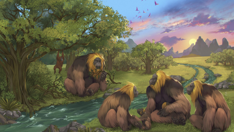 Najveći primat na svetu nestao pre 200.000 godina: Bio je visok tri metra i težak 400 kilograma
