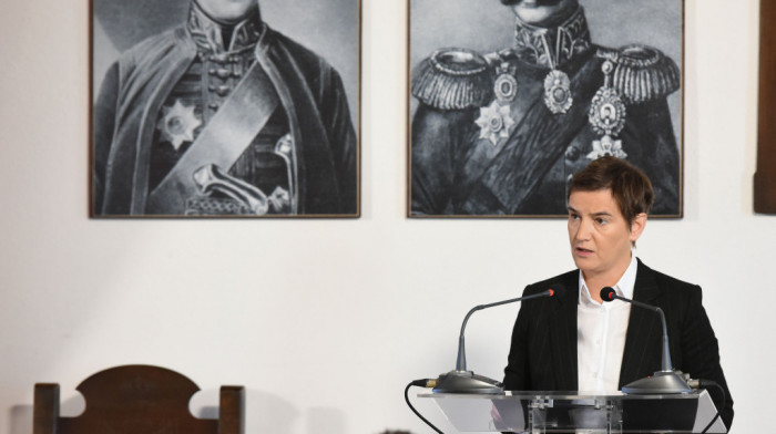 Brnabić: Vlada Srbije spremna da podrži inicijative za bolji položaj umetnika