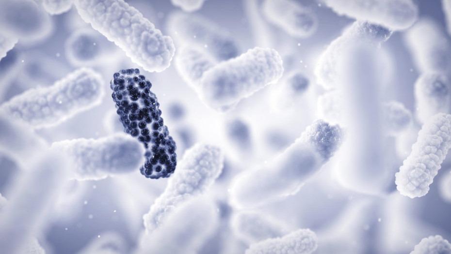 FDA prikrila epidemiju ešerihije koli u Americi u novembru prošle godine: Zaraza registrovana u 15 država SAD