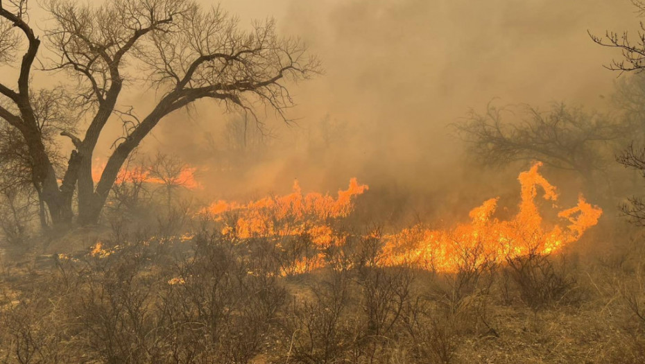 Šumski požar približio se kućama u povratničkom selu Osojane na severu KiM, nema vatrogasaca na terenu