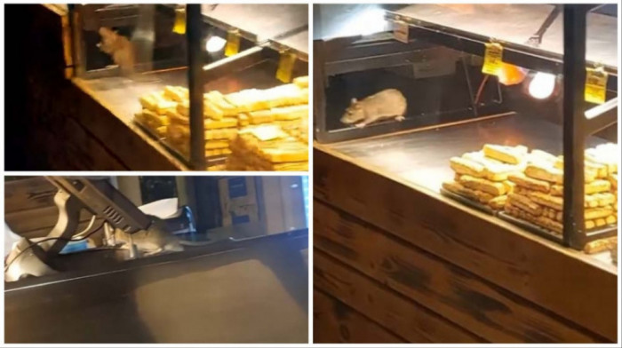 Prijave zbog glodara u prodajnim objektima hrane: Kako su reagovali nadležni posle snimka pacova u pekari