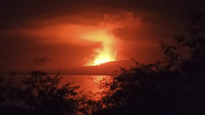 Proradio vulkan na ostrvu Galapagos, ugrožen opstanak džinovske kornjače Fernande