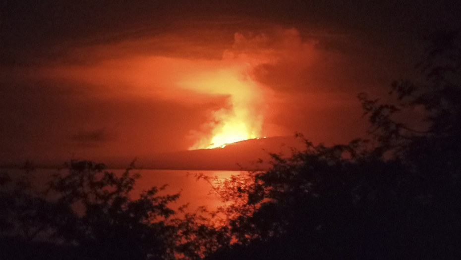 Proradio vulkan na ostrvu Galapagos, ugrožen opstanak džinovske kornjače Fernande