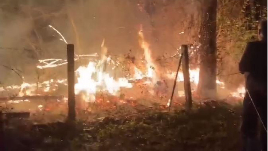 Lučani: Požar na niskom rastinju u mestu Viča ugašen u ranim jutarnjim satima