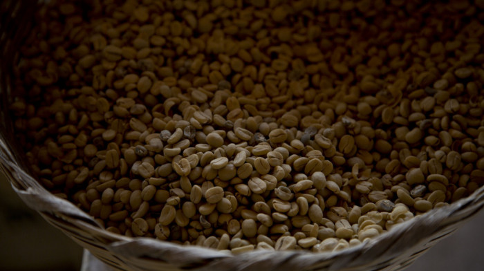 Naučnici otkrili praistorijsko poreklo kafe: Genom vrste Arabika postoji oko milion godina
