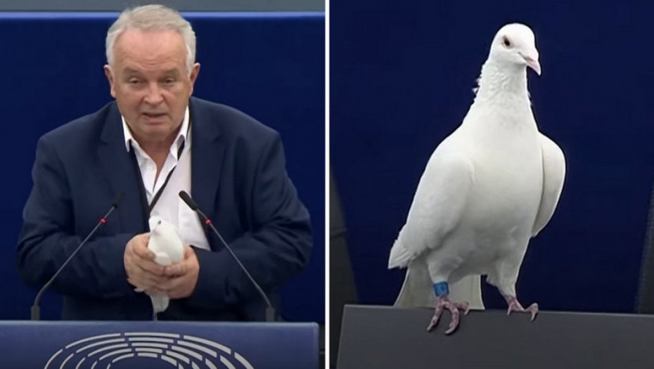 "Da li možete da je uhvatite?": Slovački parlamentarac pustio golubicu u sali Evropskog parlamenta