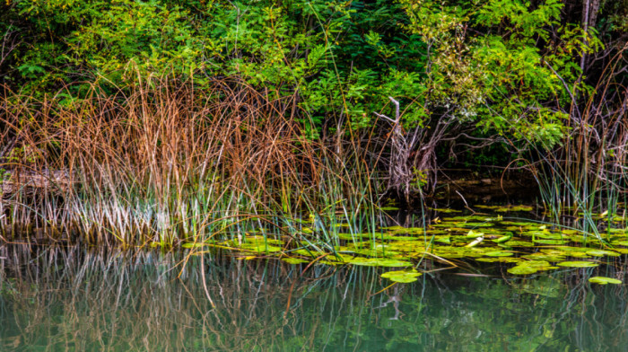 U Crnoj Gori vodostaji u opadanju, na ostrvu Vranjina u Skadarskom jezeru i dalje kritično