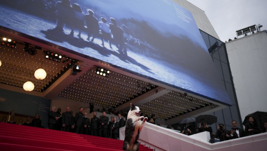 Pseća zvezda na crvenom tepihu, ovacije za Meril Strip i senka #MeToo pokreta: Počeo Filmski festival u Kanu