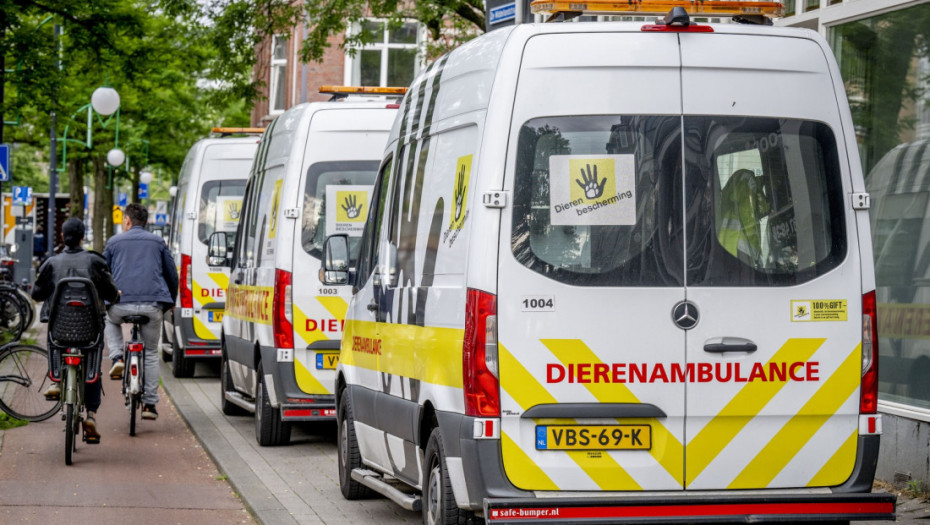 Oko 1.100 stanovnika Roterdama evakuisano zbog demontiranja bombe iz Drugog svetskog rata
