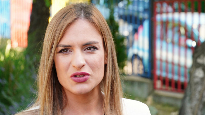 Đurđević Stamenkovski: Turska krši sve akte koji garantuju mir srpskog naroda na Kosovu i Metohiji