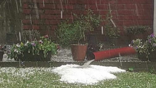 Nevreme u Tutinu i Sjenici, padao grad veličine kajsije i oraha (VIDEO, FOTO)