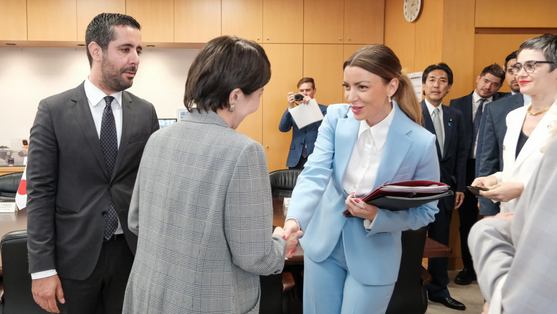 Mesarović: Očekujemo intenziviranje privredne saradnje sa Japanom