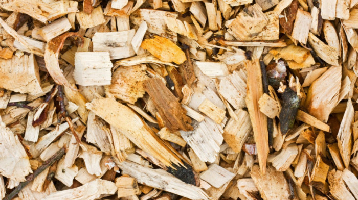 Srbijašume: Kubik drva 50 odsto jeftiniji, za najugroženije cena 2.900 dinara