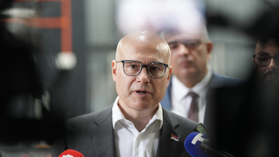 Vučević: Politika Vlade po pitanju Kosova je identična politici predsednika