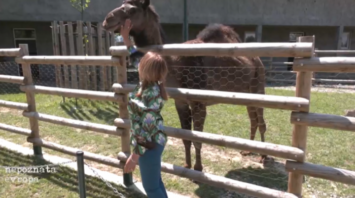 Majmuni, kenguri i lame nadomak Vrnjačke Banje: Kako je ljubav prema životinjama jednog para dovela do nastanka zoo vrta