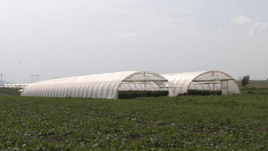 Raspisan konkurs za finansiranje intenziviranja korišćenja poljoprivrednog zemljišta