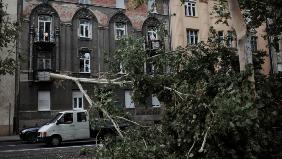 Nevreme pogodilo Hrvatsku, delovi Zagreba bez struje, u Vinkovcima vetar čupao stabla