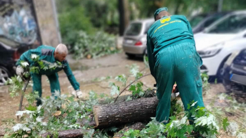Posledice nevremena u Beogradu: "Zelenilo" intervenisalo na 21 lokaciji