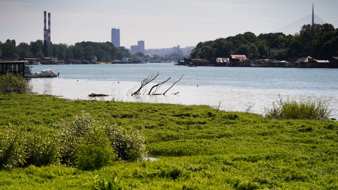 U toku dana očekuje se porast vodostaja na Savi kod Šapca