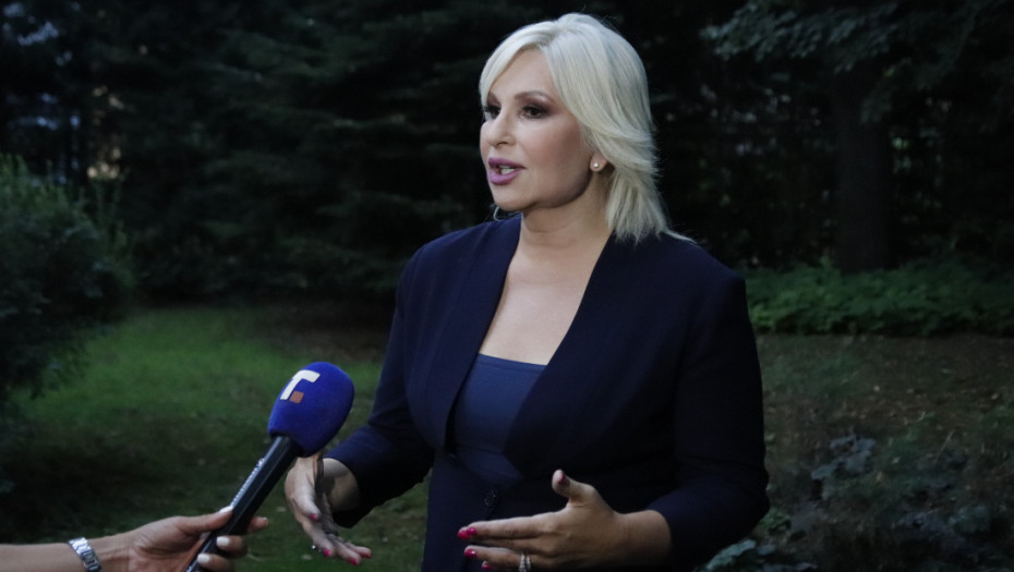 Mihajlović: Na skupu smo čuli pozitivne poruke, došli su ljudi da slave svoju državu
