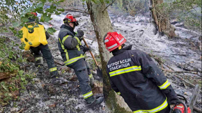 Gori rastinje pri vrhu planine Rtanj, vatrogasci iz tri mesta gase požar