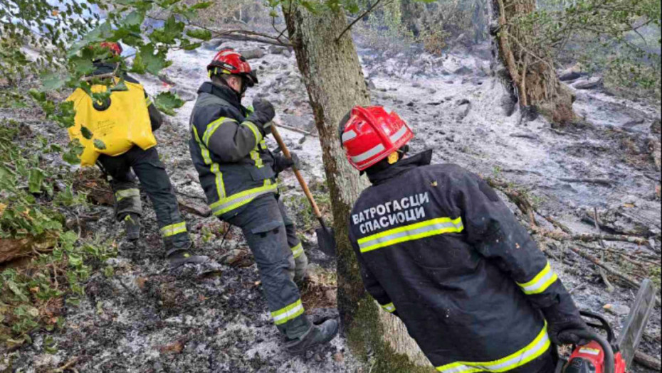 Gori rastinje pri vrhu planine Rtanj, vatrogasci iz tri mesta gase požar