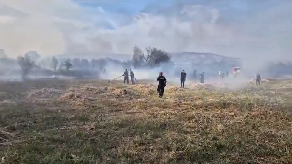 Kladovo ukinulo vanrednu situaciju: Požar zahvatio 1.300 hektara, spaseno 20 kuća