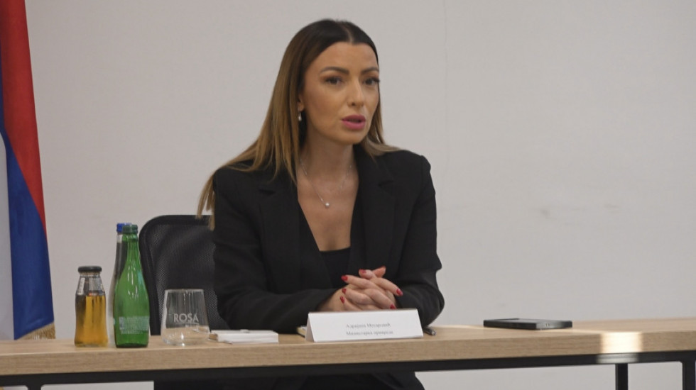 Mesarović osudila ponašanje blokadera u Nišu: Ništa im nije sveto