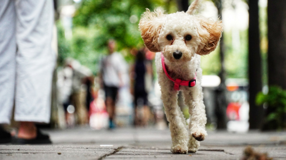 Stiže preokret - posle kiše, Srbiju čeka nagli skok temperature