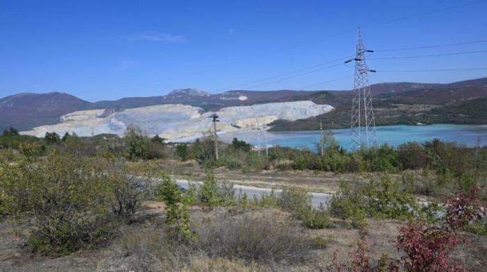 Povodom Svetskog dana šuma u Boru i Majdanpeku posađeno 2.000 sadnica crnog bagrema