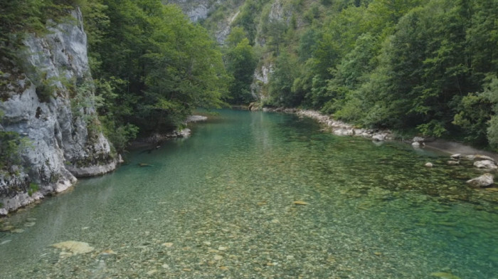 "Ona ne plače, ona od lepote zrači": Reka Tara kao "suza Evrope" i prirodna znamenitost koja ostavlja bez daha