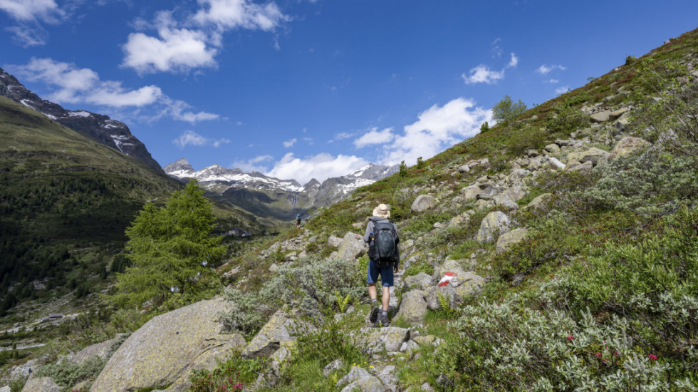Svetski dan zaštite životne sredine: Fokus na klimatskim promenama i hitnim klimatskim akcijama