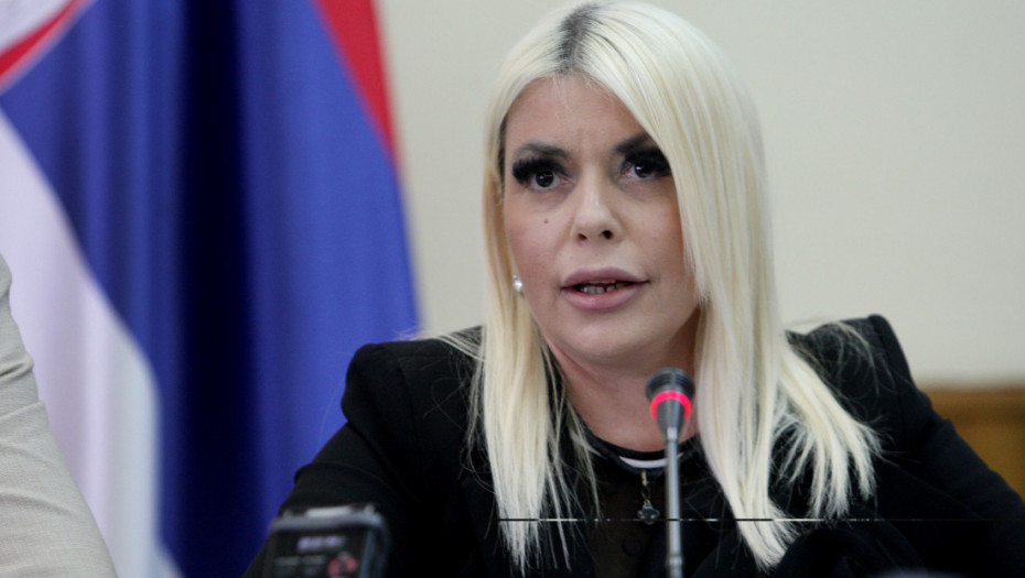 Pavićević: Mrdić je mesecima iznosio dokaze o padu nadstrešnice