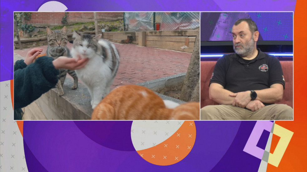 Aleksandar Gavrić iz Animal Rescue upozorava: Slavlje bez petardi može spasiti životinje, decu i osetljive osobe