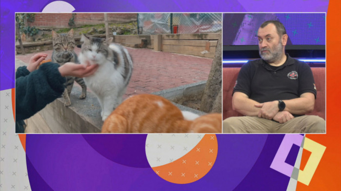 Aleksandar Gavrić iz Animal Rescue upozorava: Slavlje bez petardi može spasiti životinje, decu i osetljive osobe