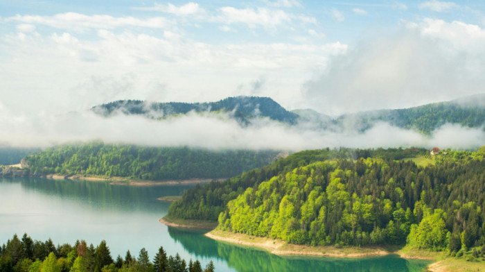 Srbija nominuje bukove šume za upis prvog prirodnog dobra na Uneskovu listu svetske baštine