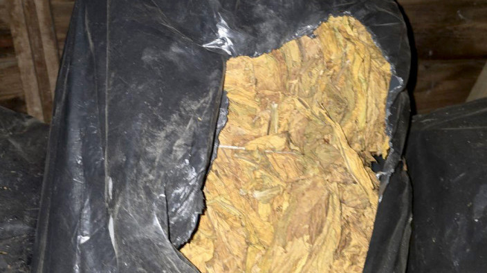 Policija u Hrtkovcima oduzela 1.360 kg duvana, uhapšena jedna osoba