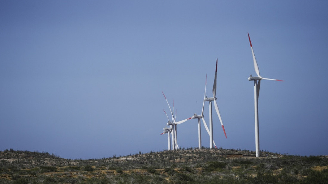 Veliki vetropark, velike dileme: Da li turbine utiču na poljoprivredu?