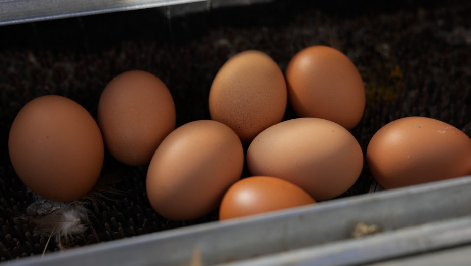 Holanđani upozoreni da ne jedu domaća jaja, već samo ona iz supermarketa