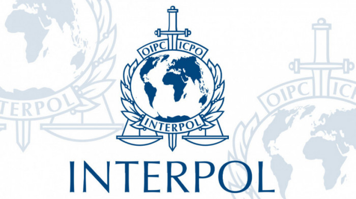 Interpol: Uhapšeno 20 osoba u 12 zemalja zbog posedovanja dečje pornografije